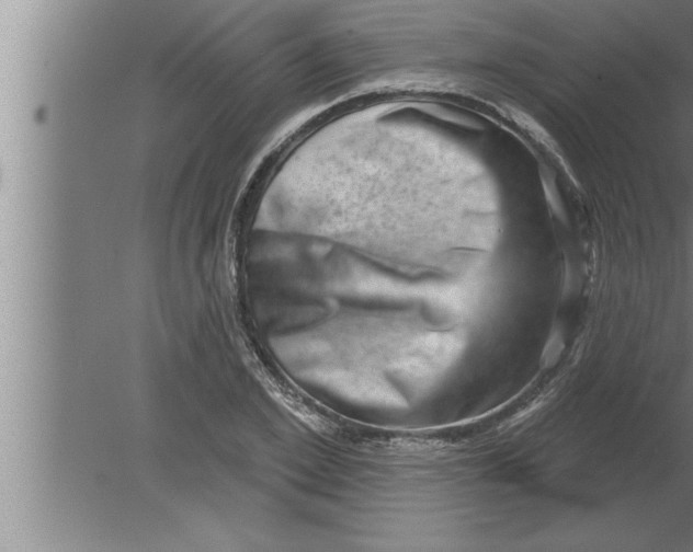 X0000080100981200612301913