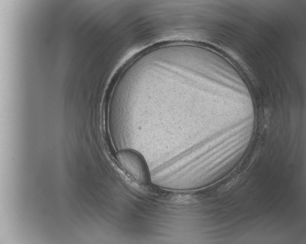 X0000080100982200612301913