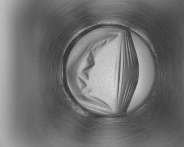 X0000080100984200612301913