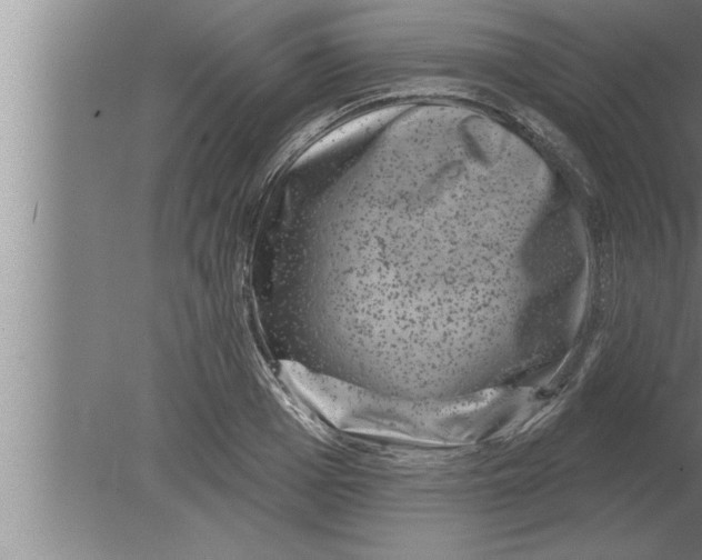 X0000080100985200612301913