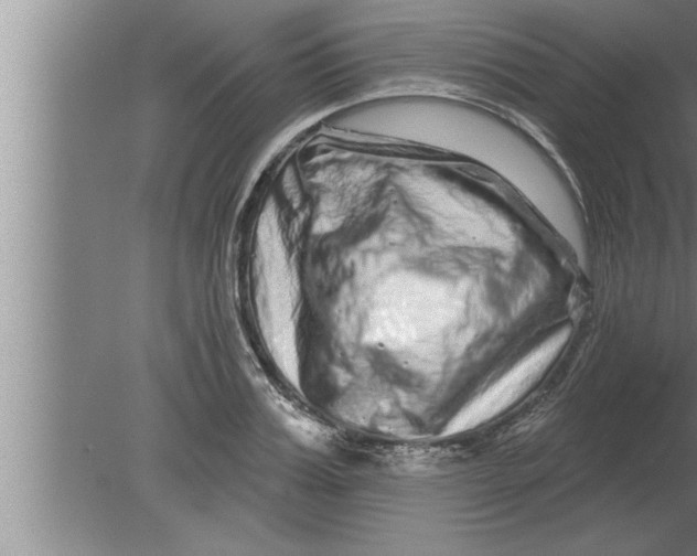 X0000080100987200612301913