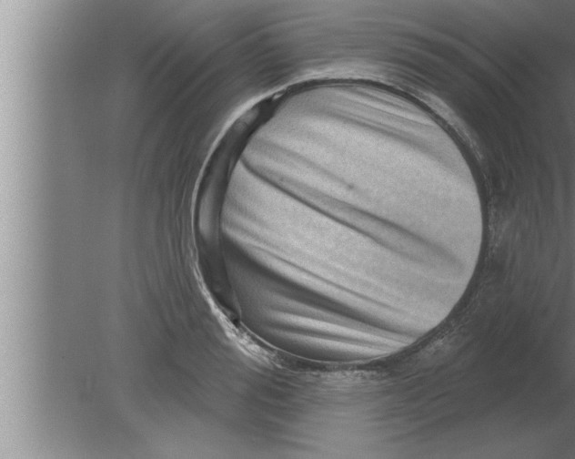 X0000080100988200612301913