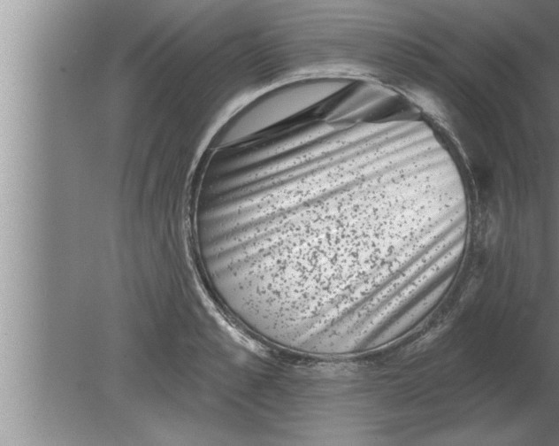 X0000080100989200612301913