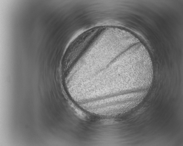 X0000080100990200612301913