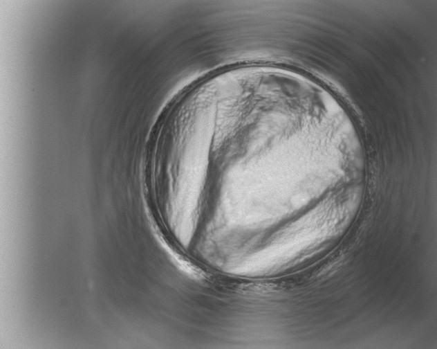 X0000080100991200612301913