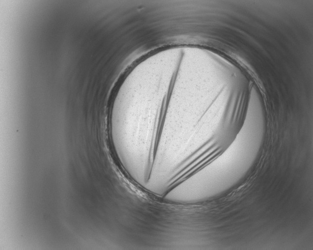 X0000080100992200612301913