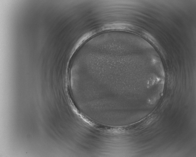 X0000080100994200612301913