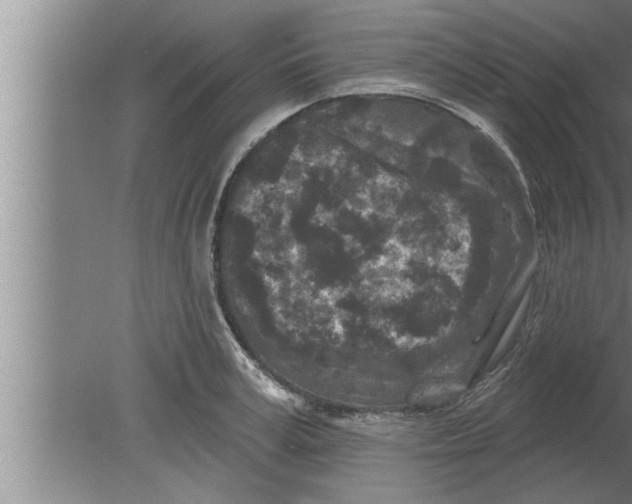 X0000080100995200612301913