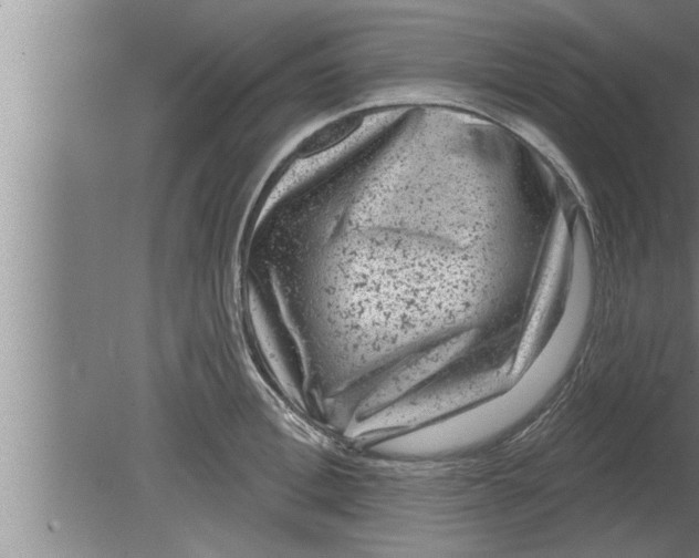 X0000080100996200612301913