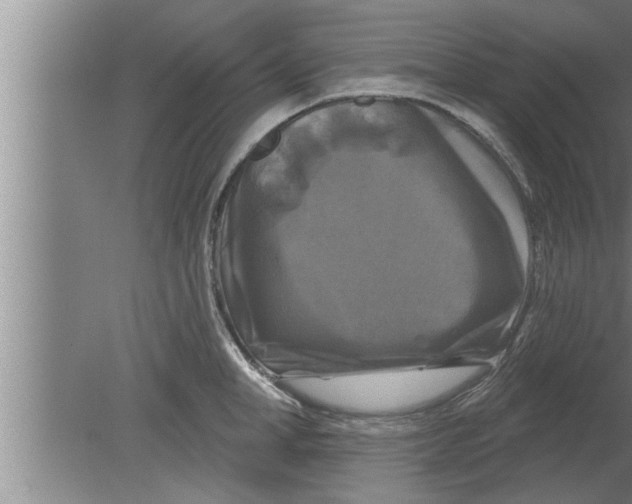 X0000080100998200612301913