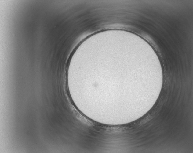 X0000080101000200612301913