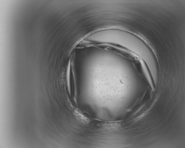 X0000080101001200612301913