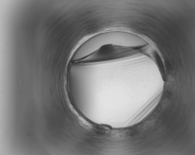 X0000080101005200612301913