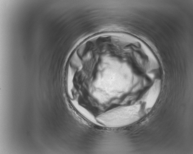 X0000080101008200612301913