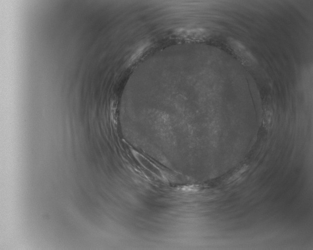 X0000080101010200612301912