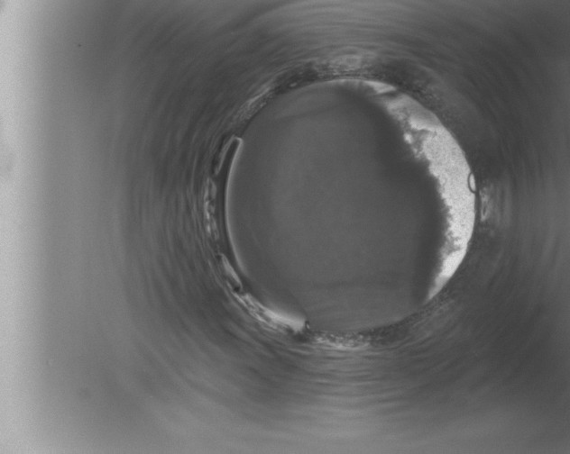 X0000080101011200612301912