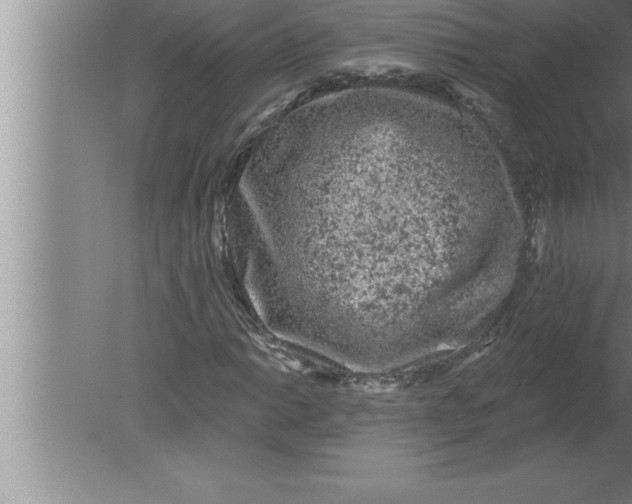 X0000080101014200612301912