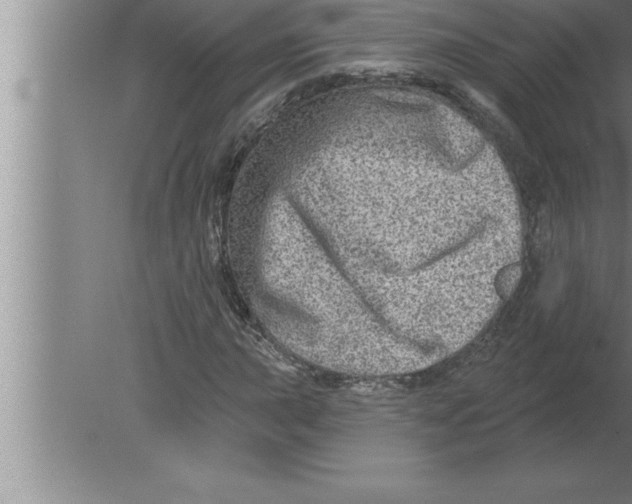 X0000080101015200612301912