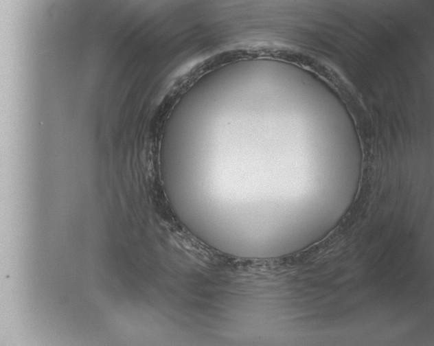 X0000080101016200612301912