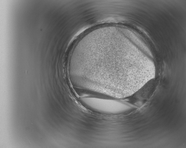 X0000080101018200612301912