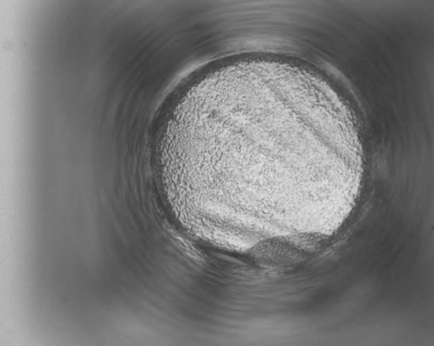 X0000080101019200612301912