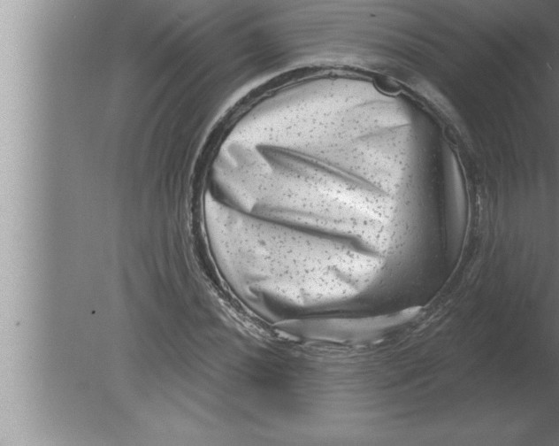 X0000080101020200612301912