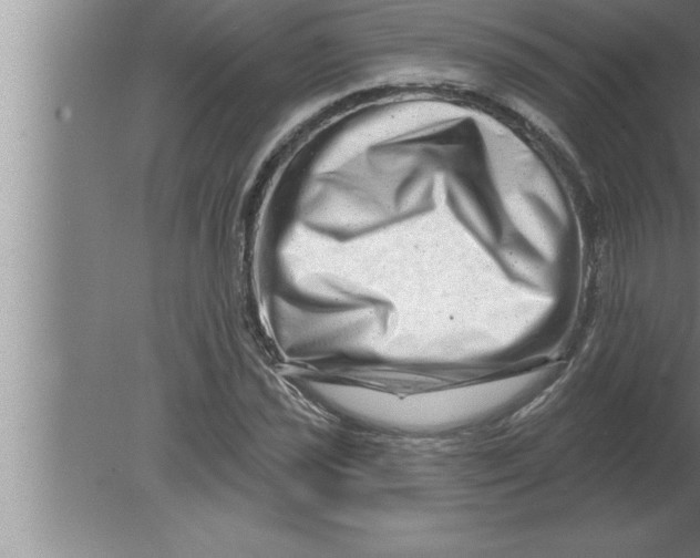 X0000080101021200612301912