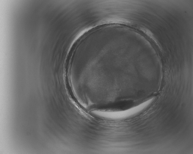 X0000080101024200612301912