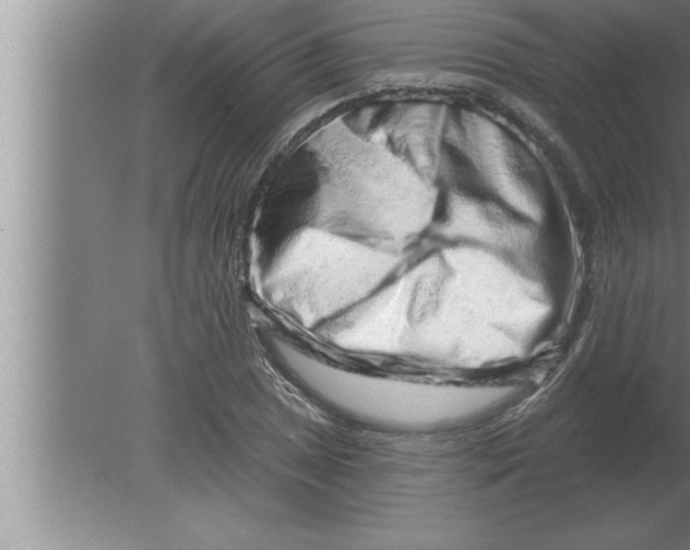 X0000080101025200612301912