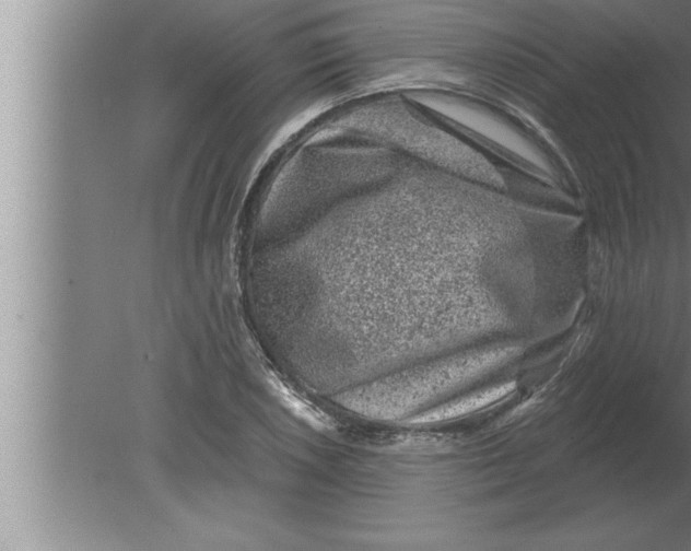 X0000080101026200612301912