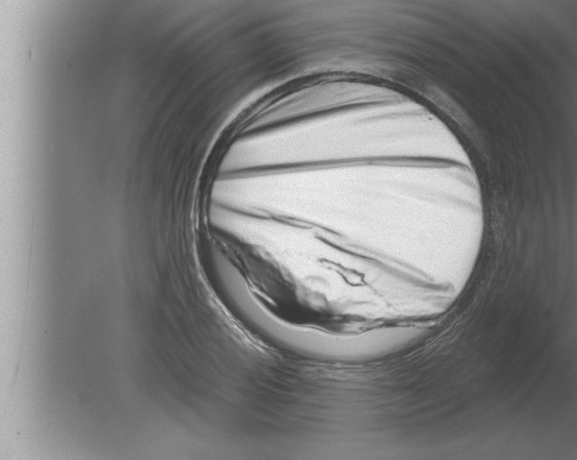 X0000080101028200612301912