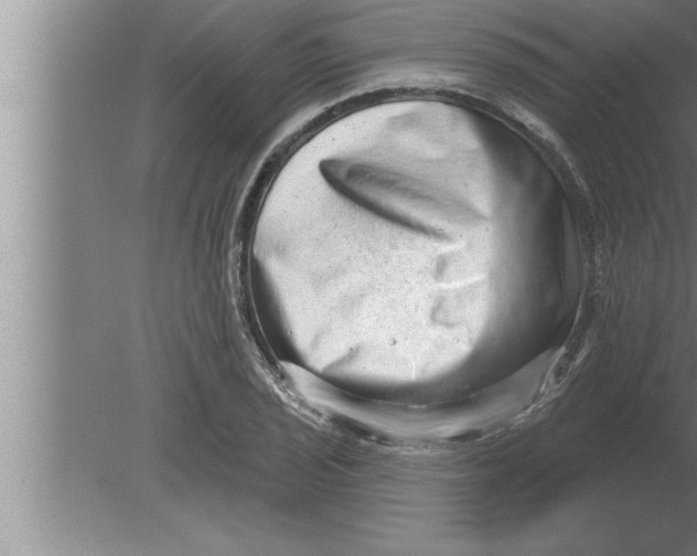 X0000080101029200612301912