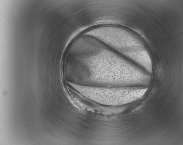 X0000080101030200612301912