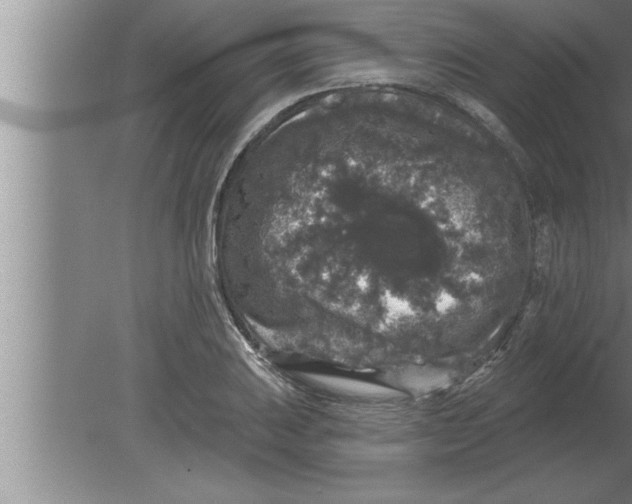 X0000080101031200612301912