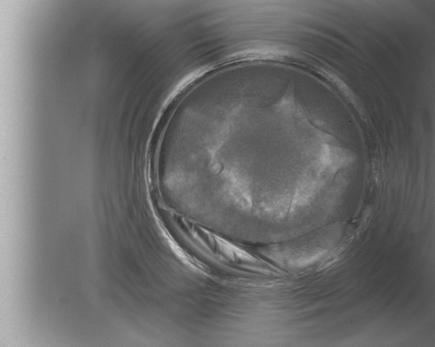 X0000080101034200612301912