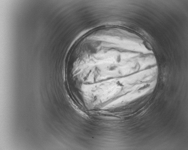 X0000080101036200612301912