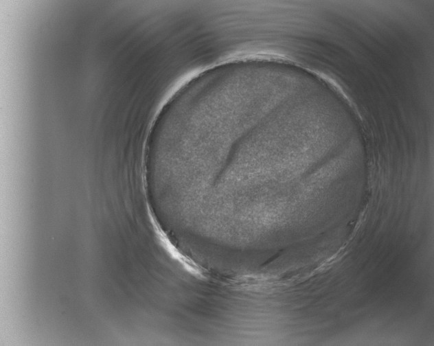 X0000080101038200612301913