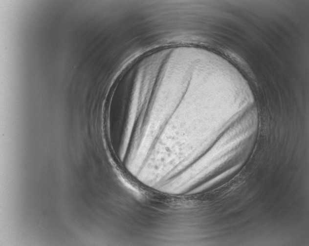 X0000080101039200612301913