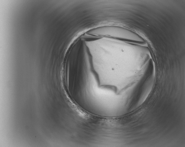 X0000080101040200612301913