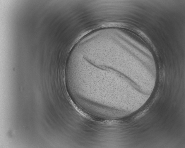 X0000080101041200612301913