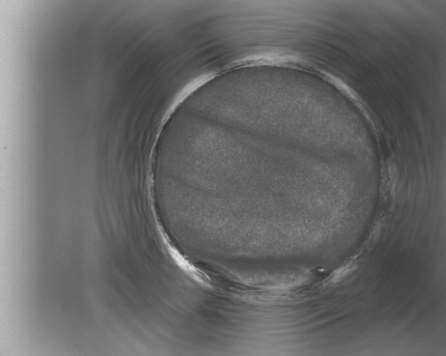 X0000080101042200612301913