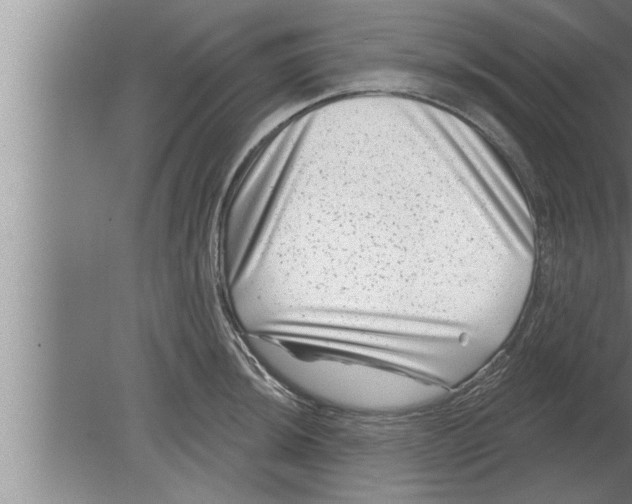 X0000080101044200612301913