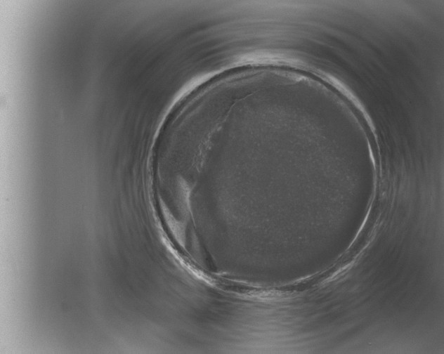 X0000080101045200612301913