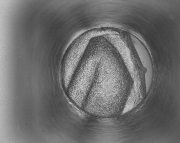 X0000080101048200612301913