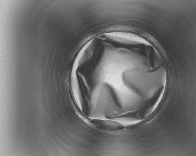 X0000080101049200612301913