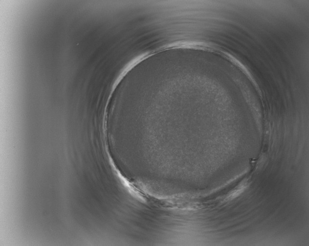 X0000080101050200612301913