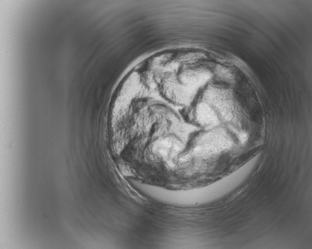 X0000080101052200612301913