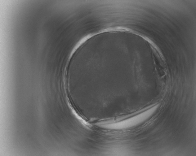 X0000080101054200612301913