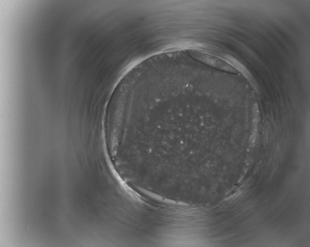 X0000080101055200612301913