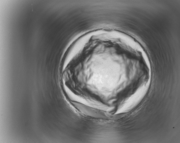 X0000080101056200612301913